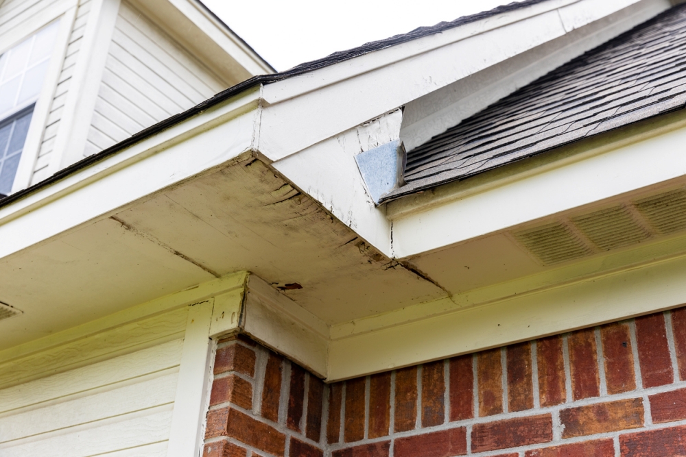 Comprehensive Guide to Wood Rot Repair in Florida Homes